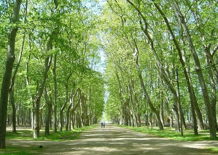 2 Bedroom With Terrace 지로나